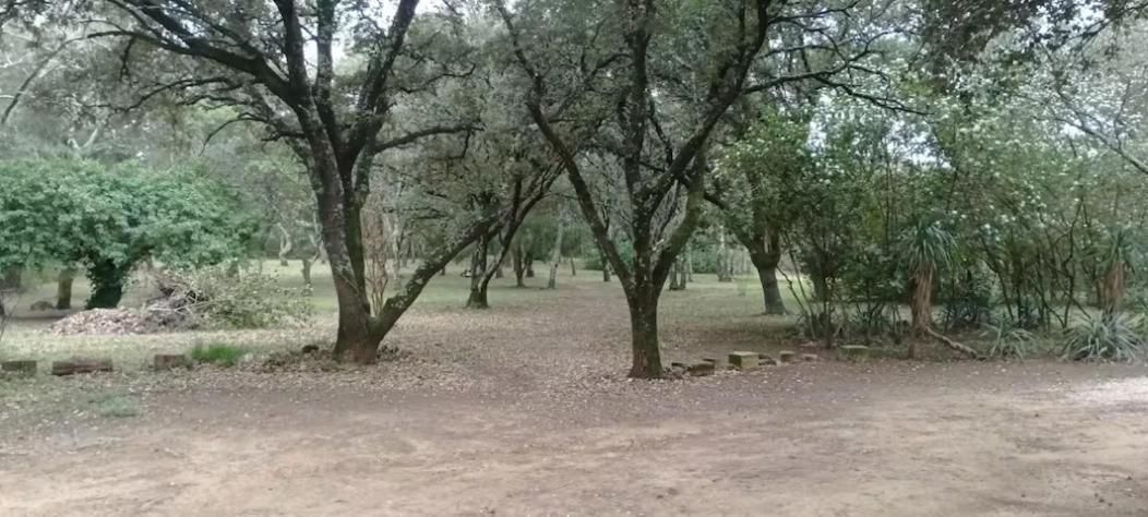 Evasion En Pleine Nature, Tipi Insolite Et Jacuzzi Au Pont Du Gard ! Vers-Pont-du-Gard Eksteriør billede